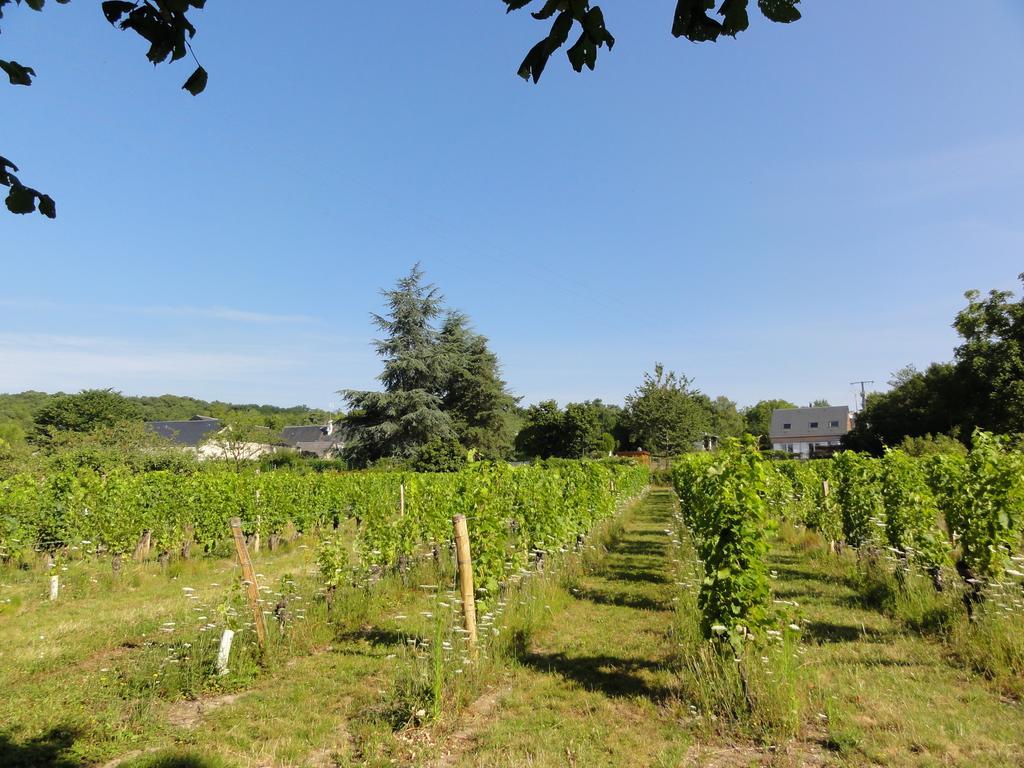 Le Clos Des Berengeries Saint-Patrice Ngoại thất bức ảnh